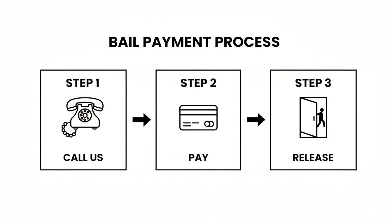 A simple three-step diagram illustrates the bail payment process: Call Us, Pay with a credit card, Release.