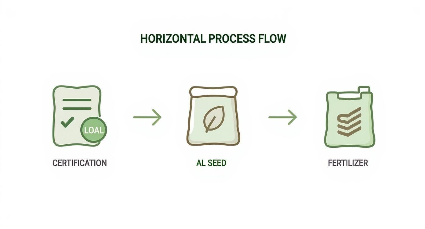 Infographic about best way to overseed a lawn