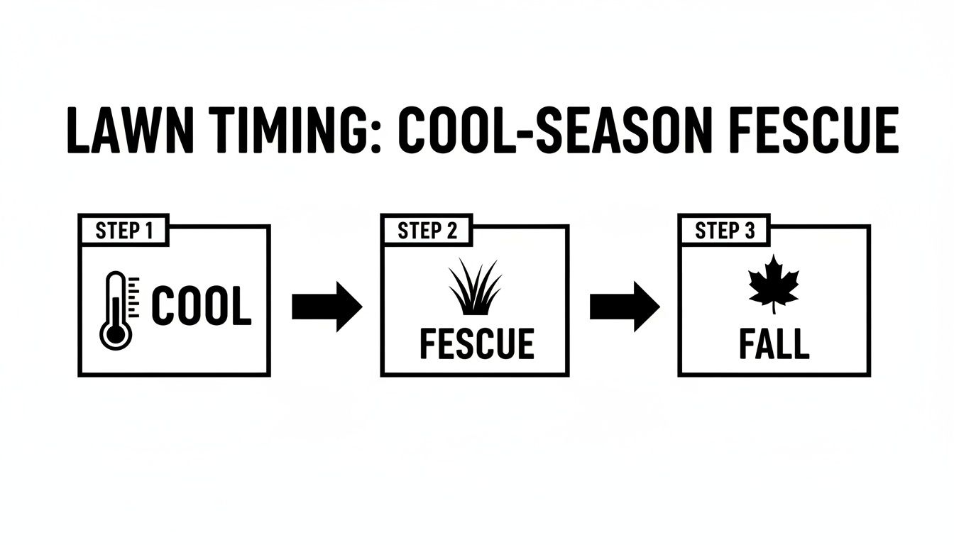 Diagram illustrating the optimal timing for cool-season fescue grass, showing cool temperatures and fall season.
