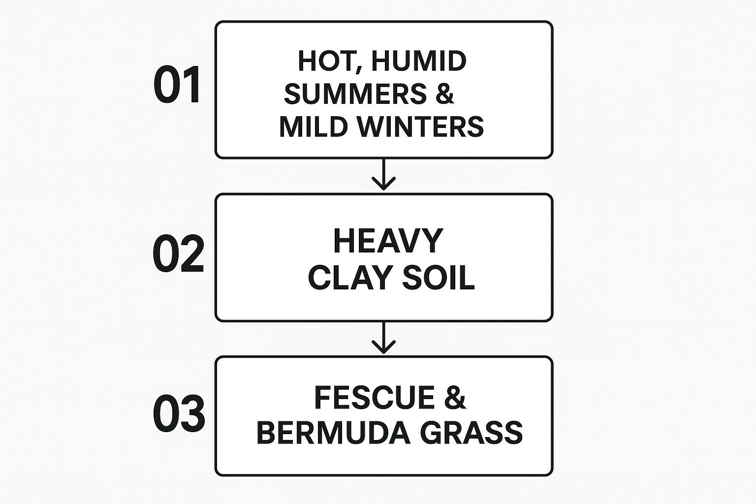 Infographic showing the flow from North Georgia's climate to its soil and grass types.