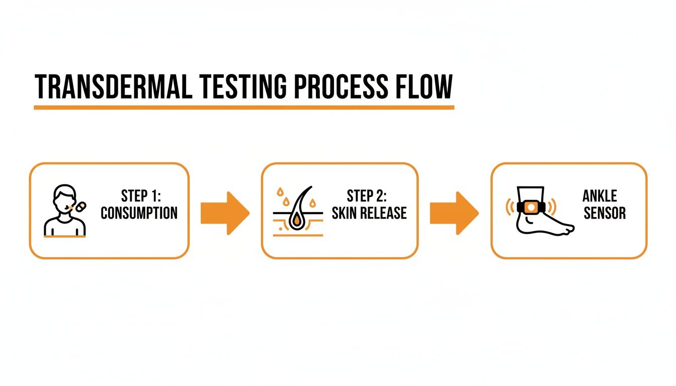 A flowchart illustrates the transdermal testing process, showing consumption, skin release, and detection by an ankle sensor.