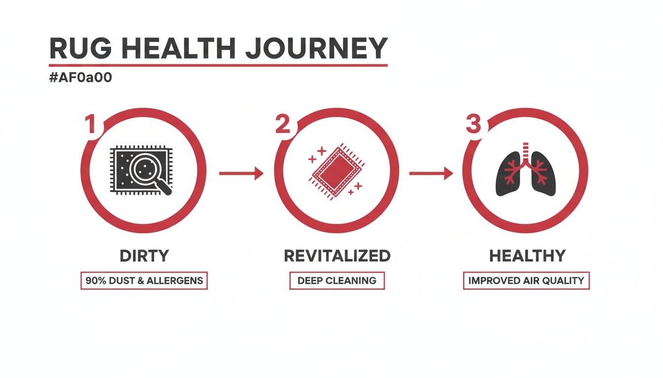 An infographic illustrating the rug health journey from dirty to revitalized through deep cleaning, leading to improved air quality and health.