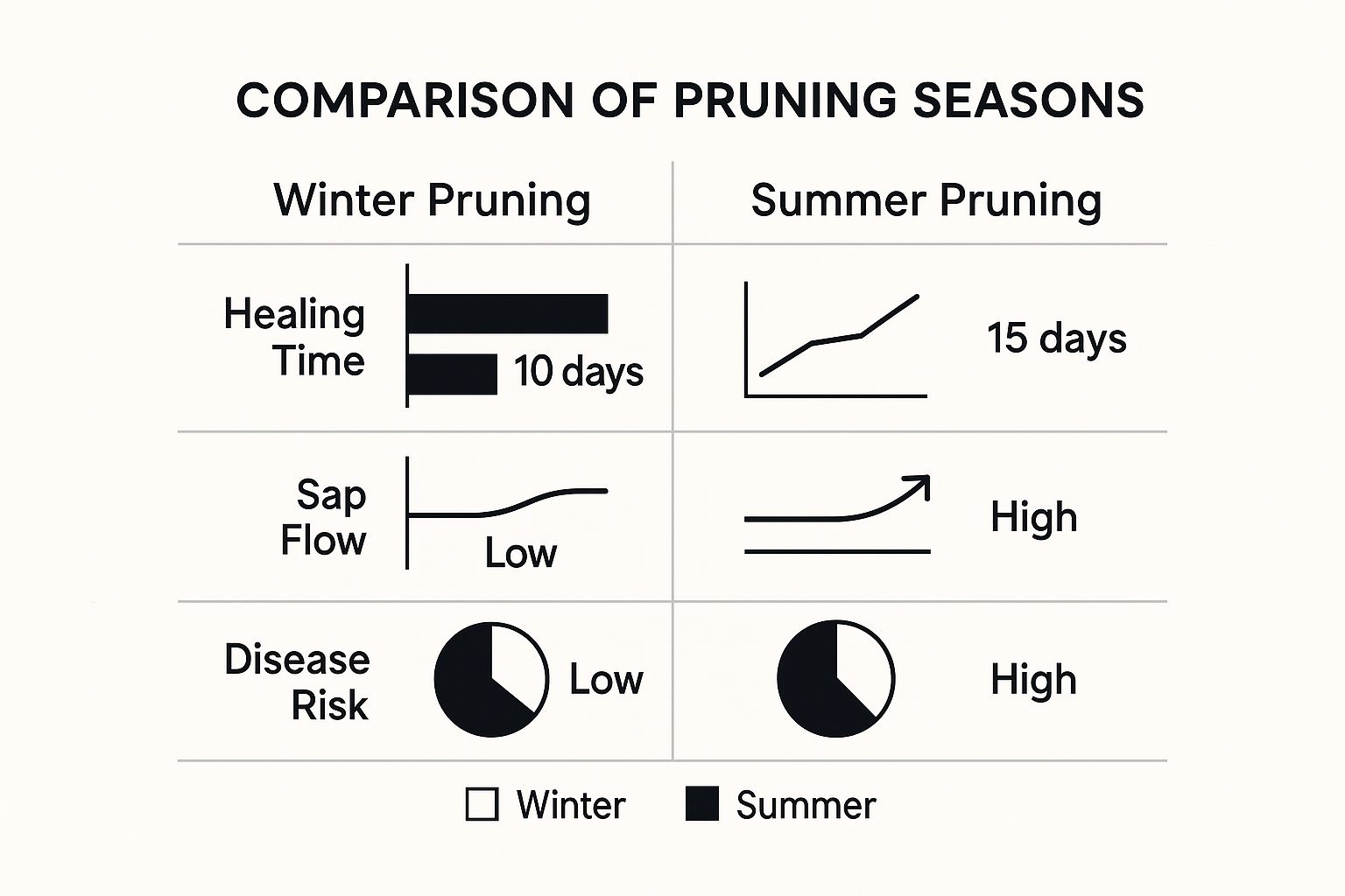 When Is the Best Time to Prune Trees?