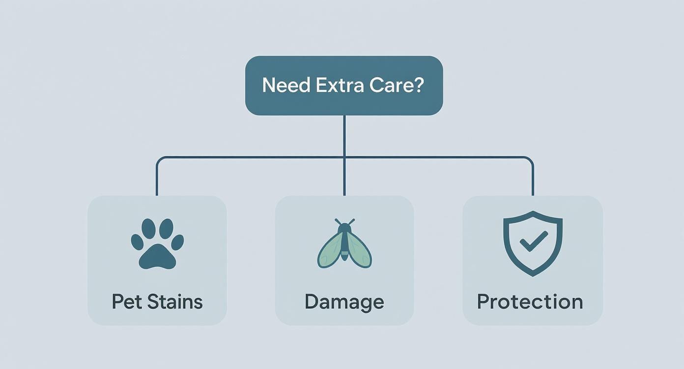 A diagram titled 'Need Extra Care?' showing options for pet stains, damage, and protection with icons.