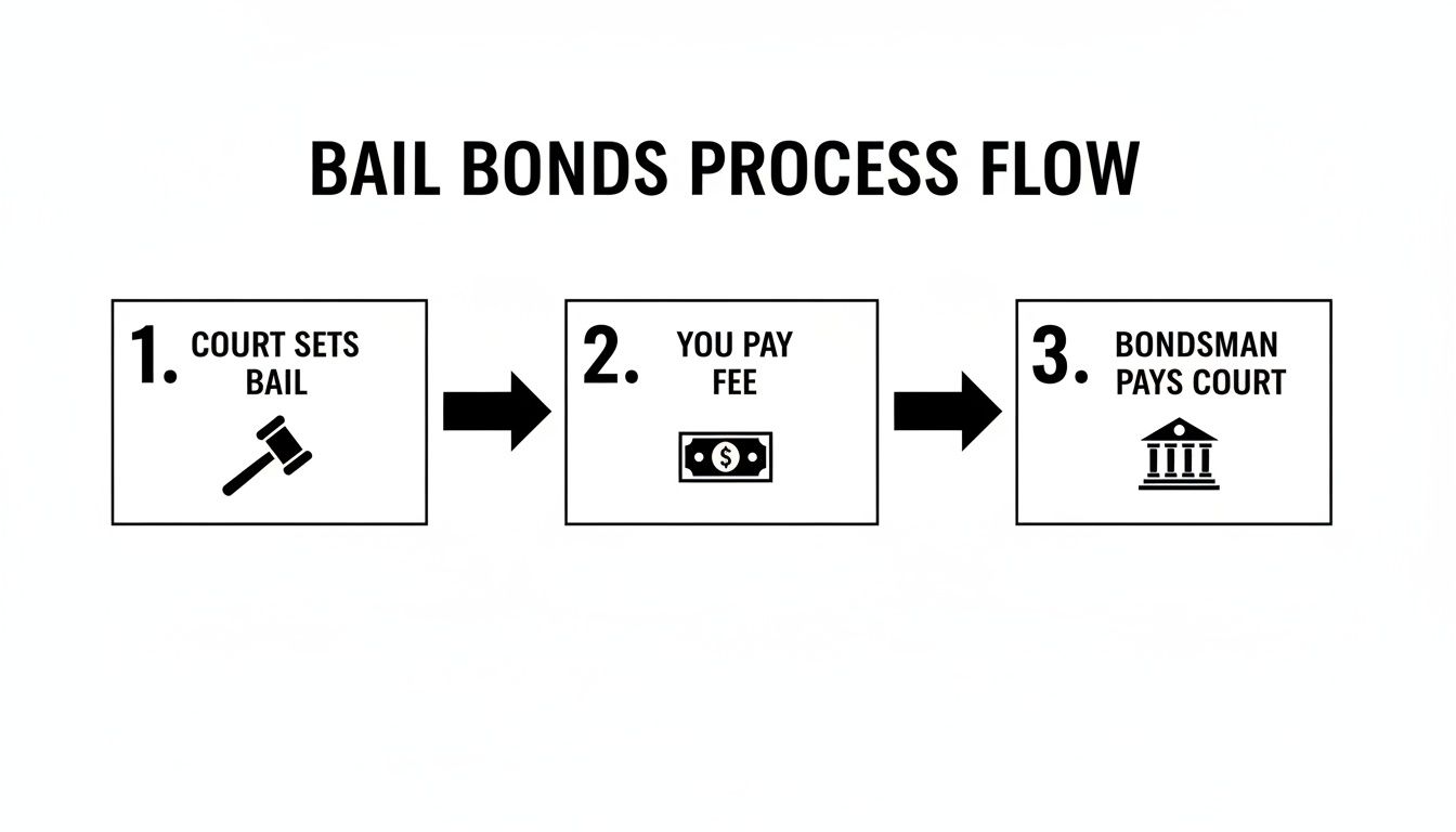 A three-step flowchart illustrating the bail bonds process: court sets bail, you pay fee, then bondsman pays court.