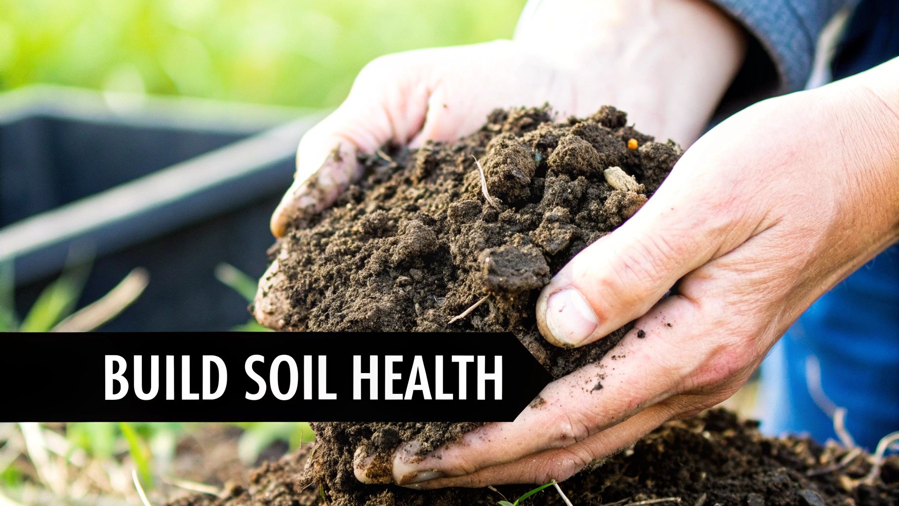 Close-up of a person's hands holding a mound of rich, dark soil in an outdoor garden setting.