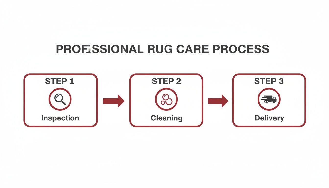 An infographic illustrating the professional rug care process, including inspection, cleaning, and delivery stages.
