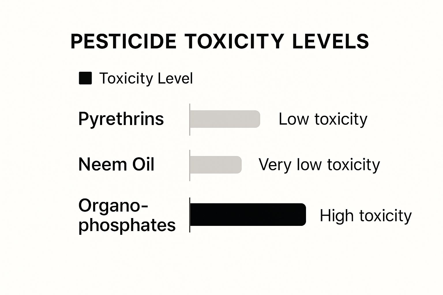 Infographic about safe pesticides for pets