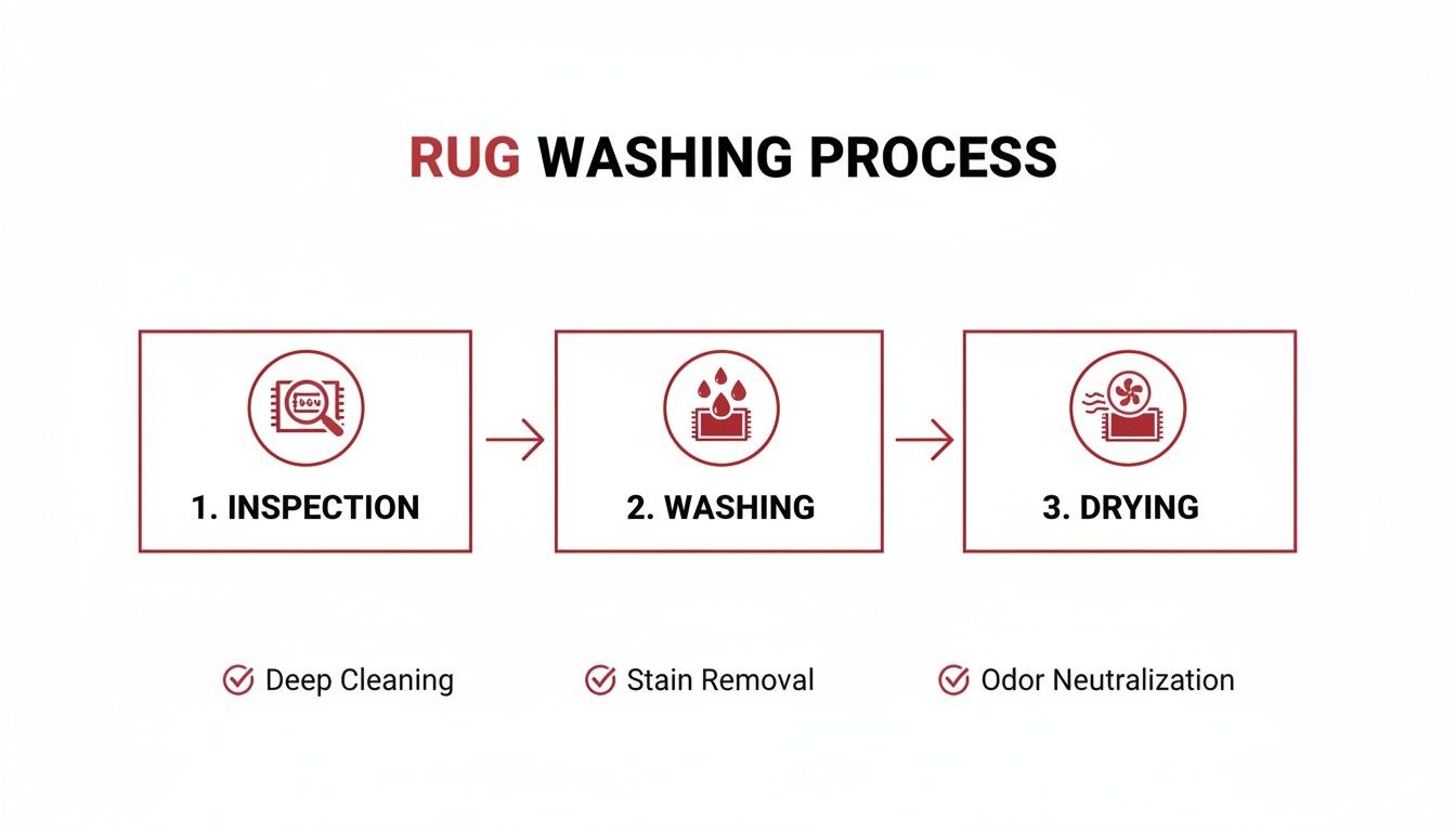 Infographic outlining the three-step rug washing process: inspection, washing, and drying for deep cleaning.