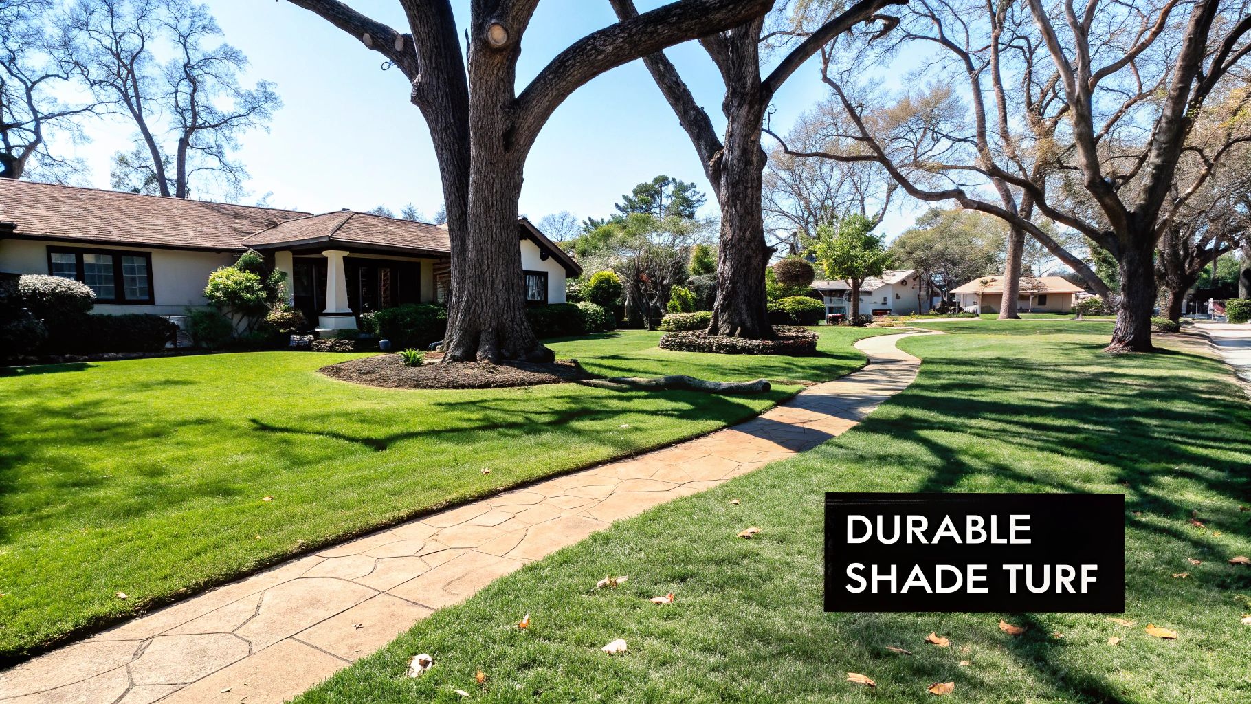A vibrant green lawn with shade-casting trees, a curved pathway, and a house, advertising "DURABLE SHADE TURF".