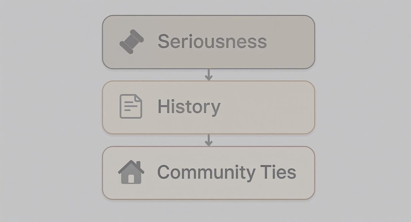 A flowchart showing three factors for bail: Seriousness, History, and Community Ties, with icons.