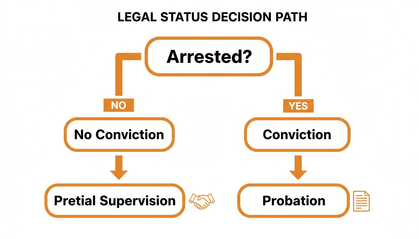 Flowchart illustrating the legal status decision path: Arrested? leads to Conviction or No Conviction, then Probation or Pretrial Supervision.