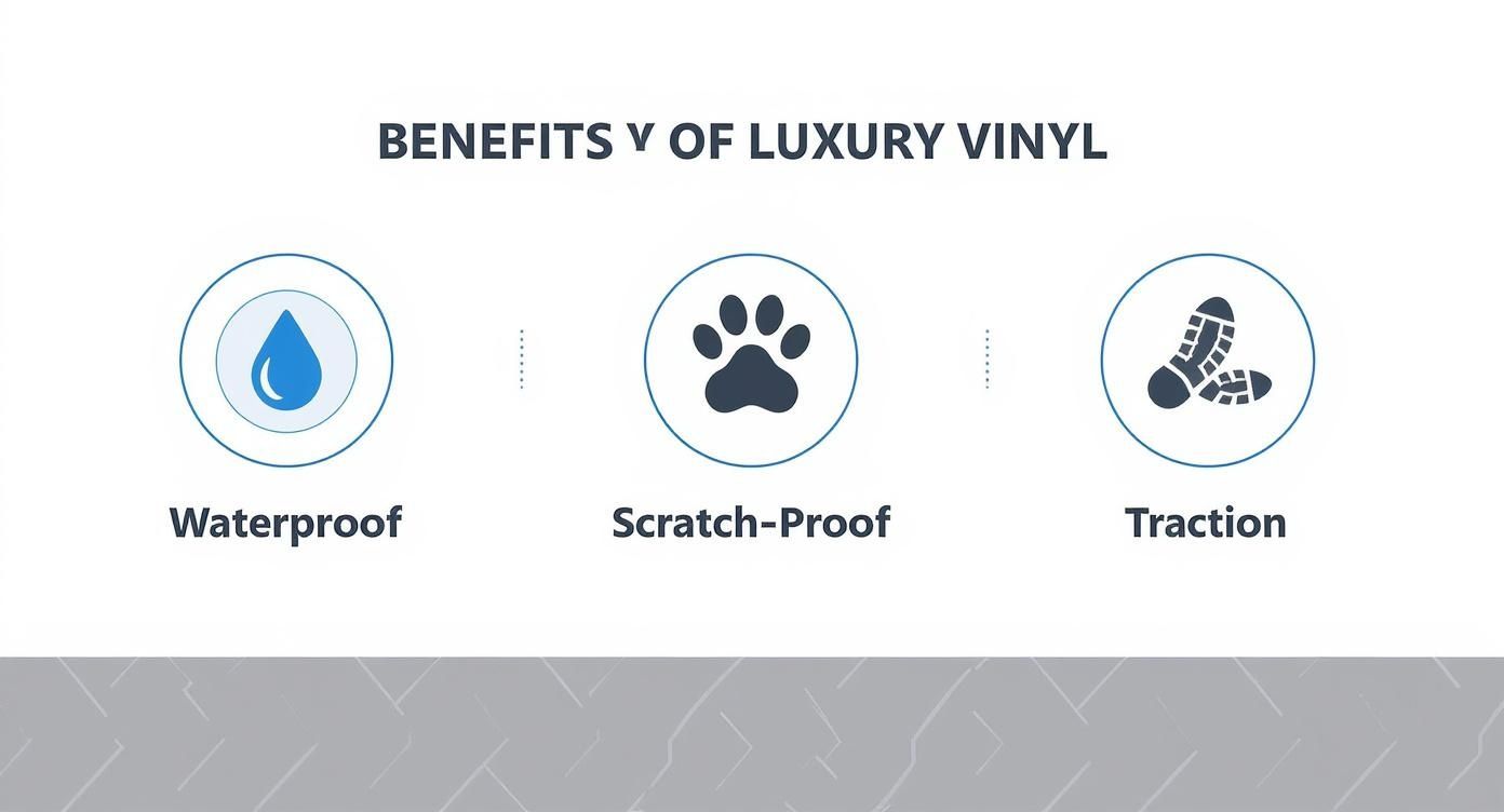 Infographic about best flooring for a dog