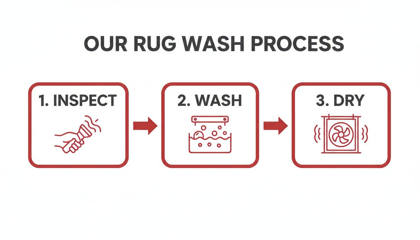 Visual representation of a rug washing process, showing inspection, washing, and drying steps with icons.