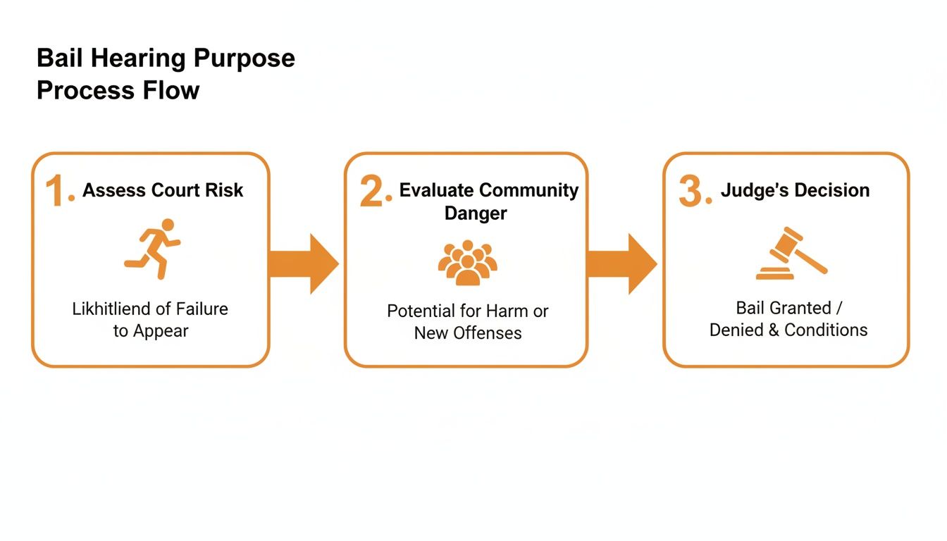 Flowchart showing the 3-step bail hearing process: assess court risk, evaluate community danger, and judge's decision.