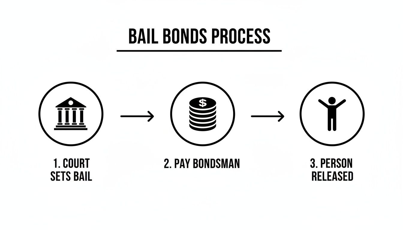 A three-step diagram illustrating the bail bonds process: court sets bail, pay bondsman, person released.
