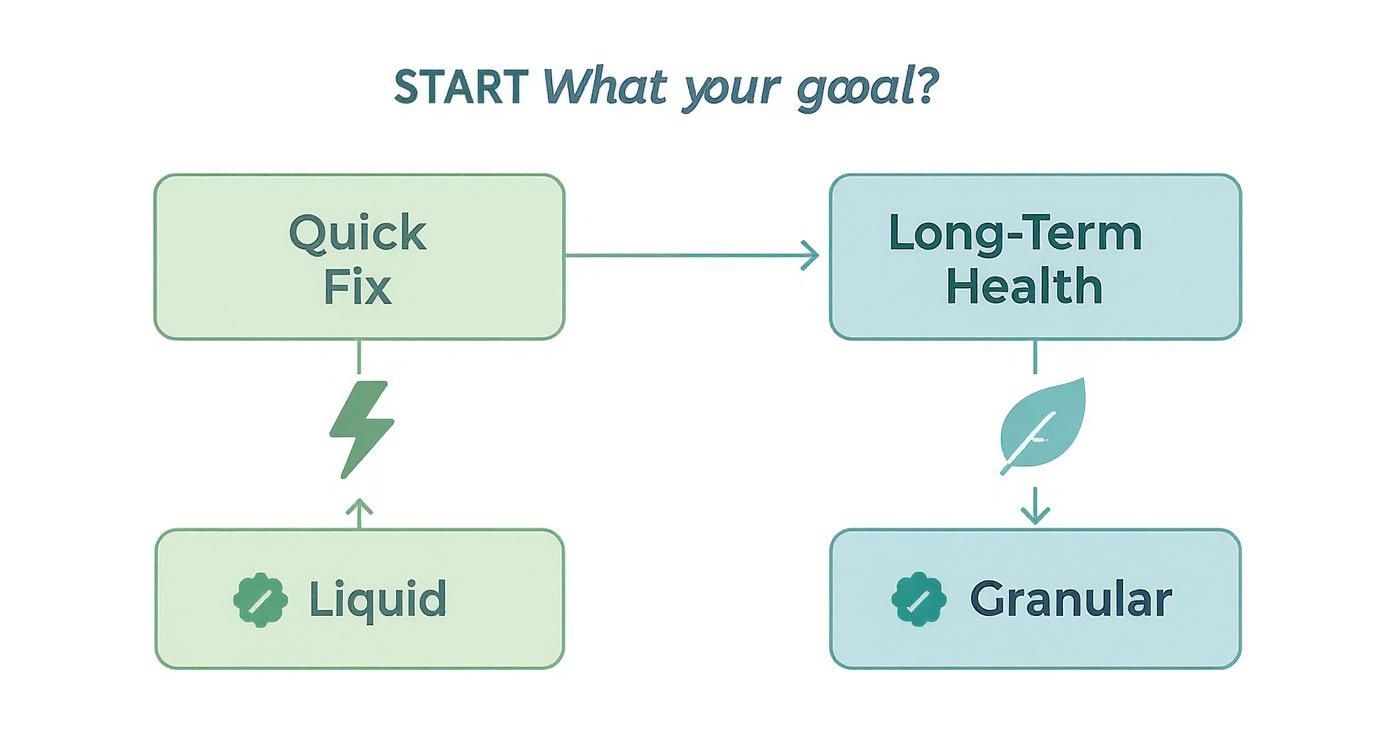 Flowchart comparing quick fix liquid options to long-term health granular solutions for goals.