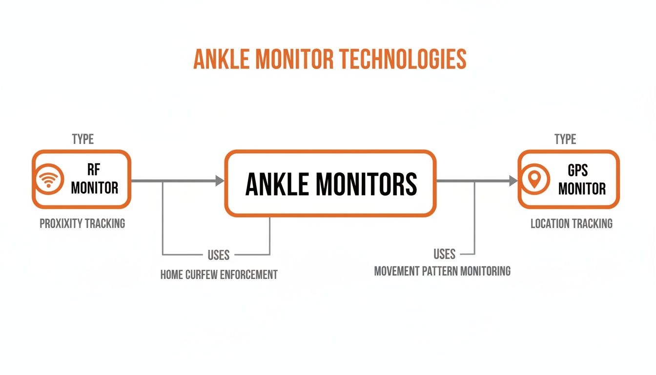 Flowchart illustrating ankle monitor technologies, including RF monitors for proximity tracking and GPS monitors for location tracking.