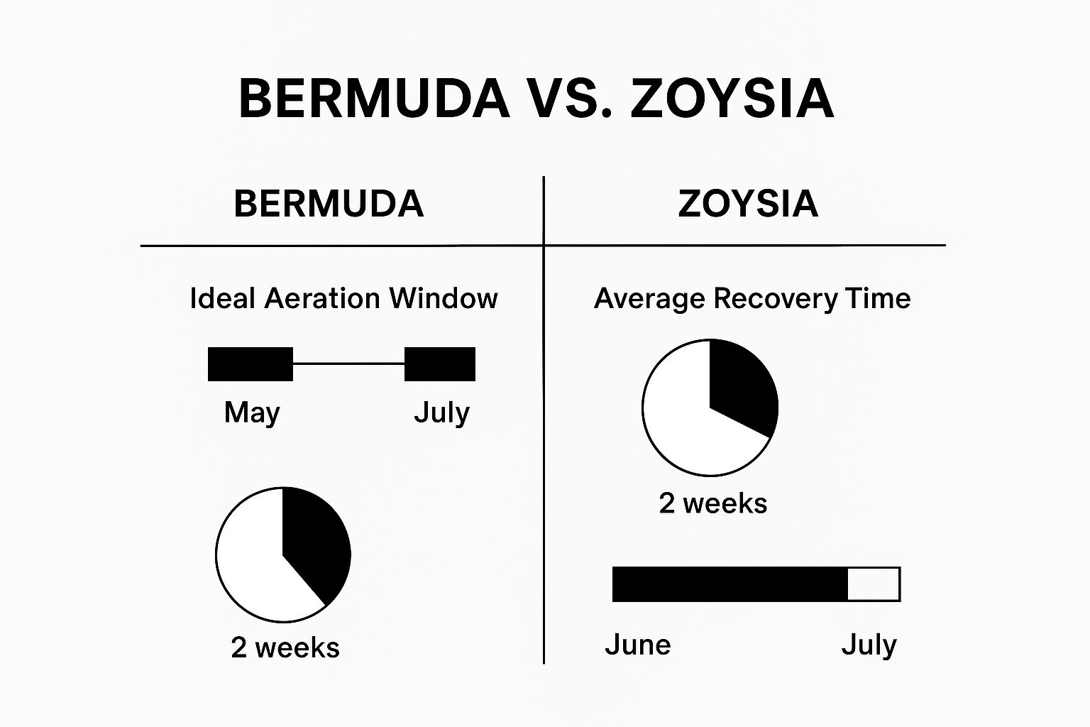 Infographic about best time to aerate a lawn