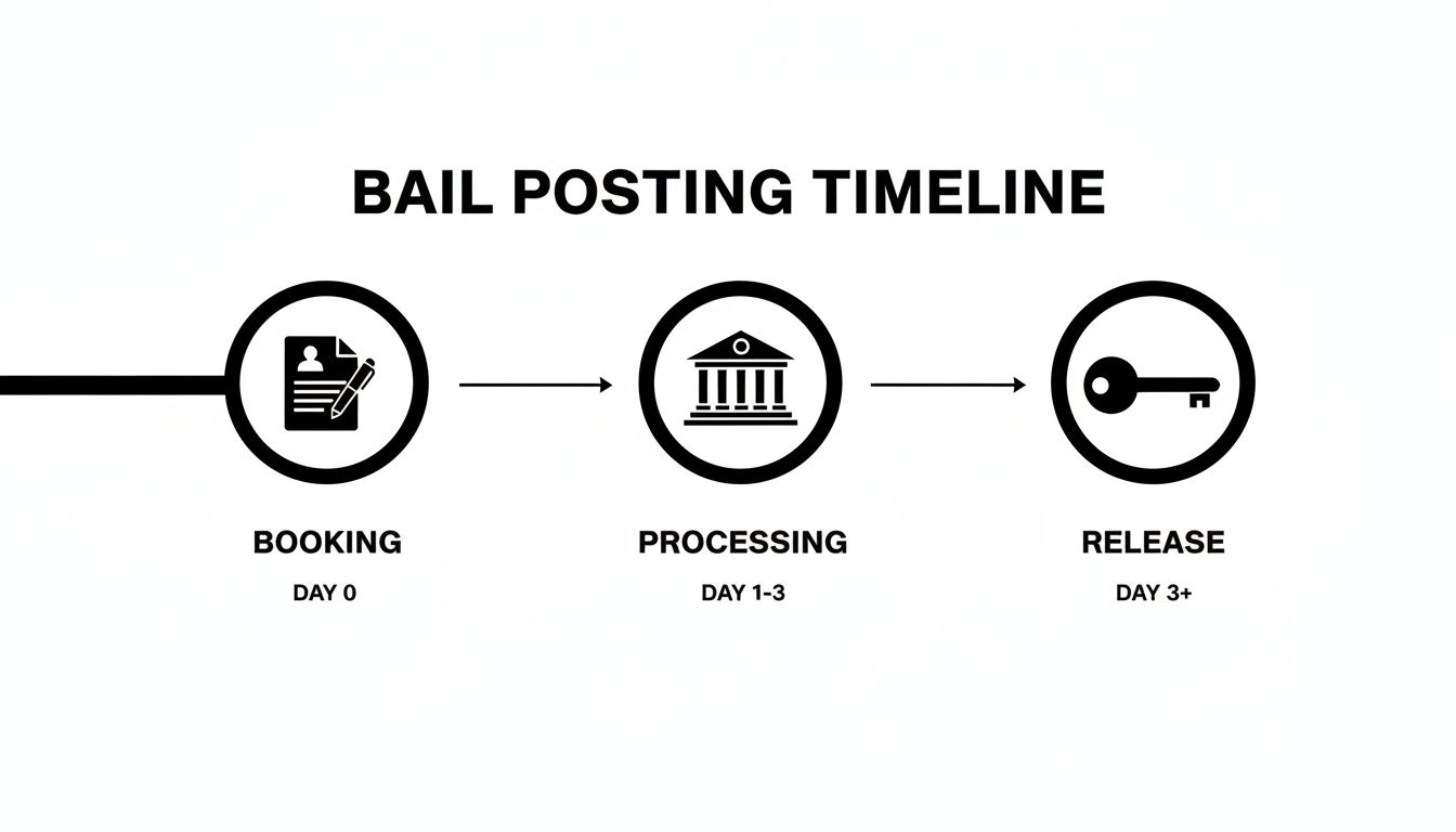 A visual timeline illustrating the three stages of bail posting: booking, processing, and release.