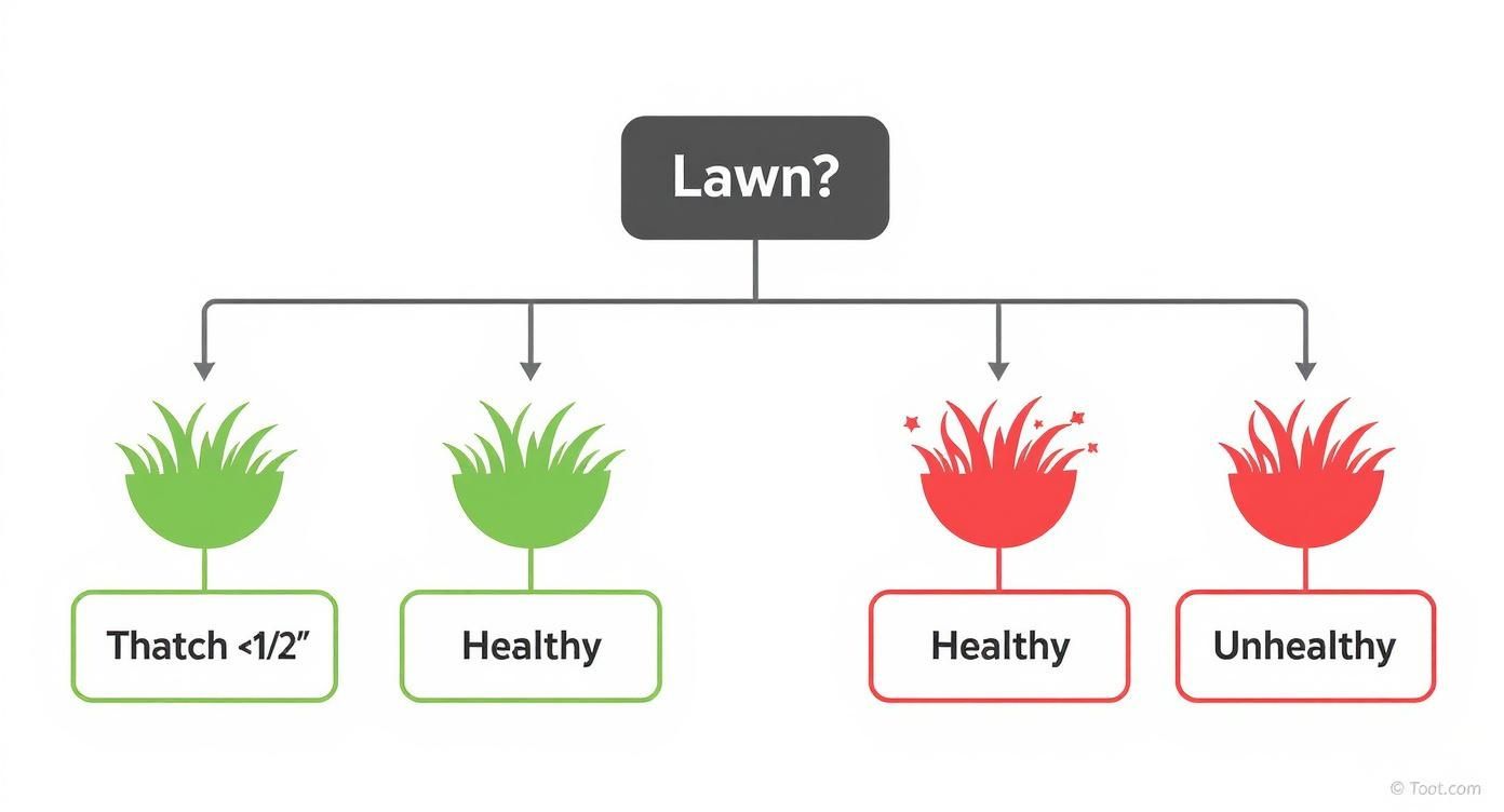 A diagram classifying lawn conditions, showing healthy green grass with low thatch and unhealthy red grass.
