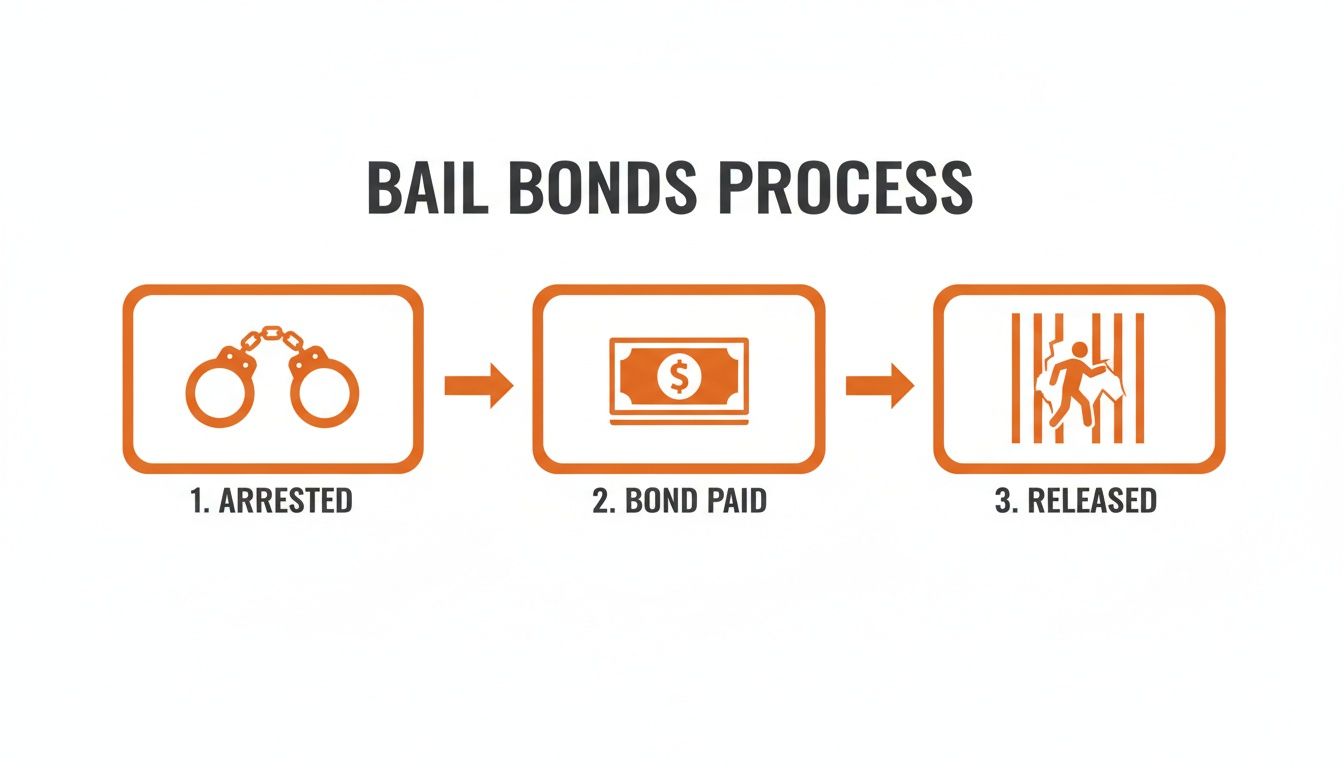 How Does Bail Bonds Work? A Clear Guide for Forsyth County Families