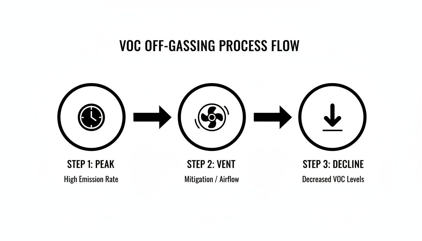 Infographic about how to get rid of new carpet smell