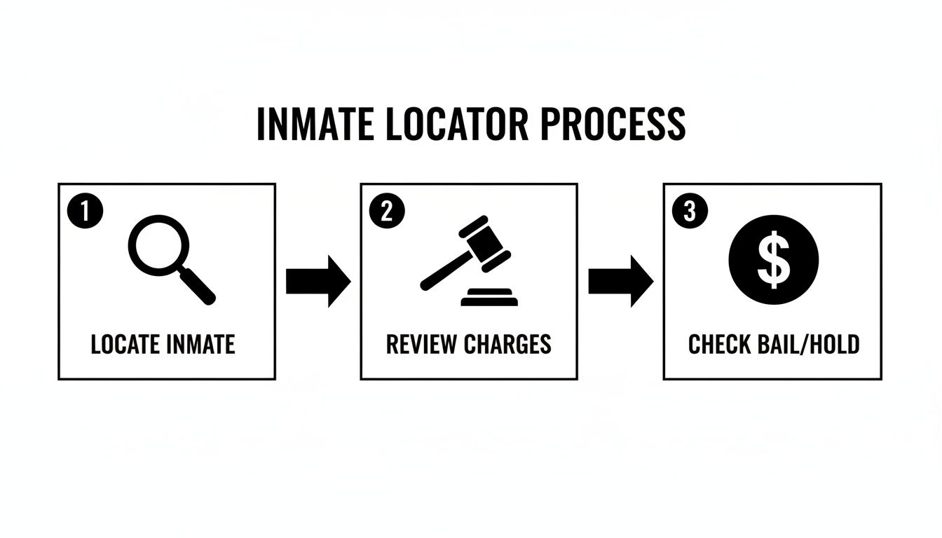 A three-step infographic detailing the inmate locator process: locate, review charges, and check bail/hold.