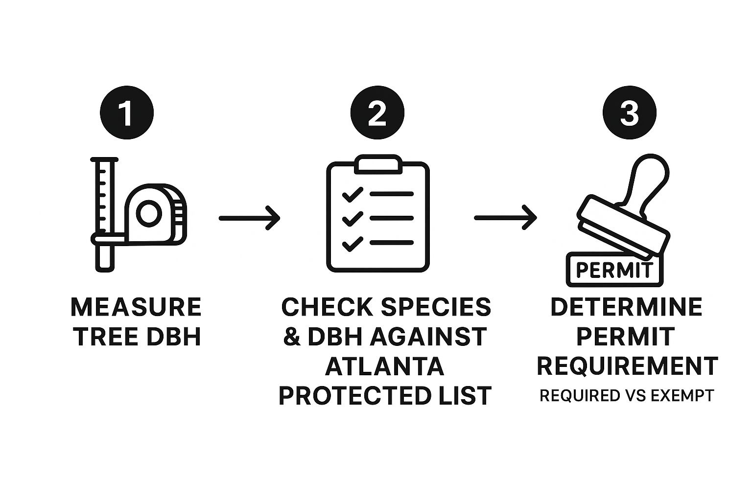Atlanta Tree Removal Permit A Property Owner's Guide