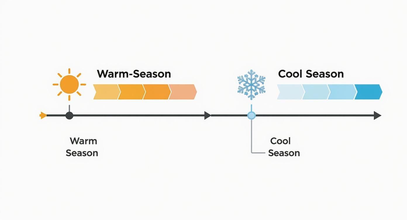 A seasonal timeline chart illustrating warm and cool seasons with sun and snowflake icons.