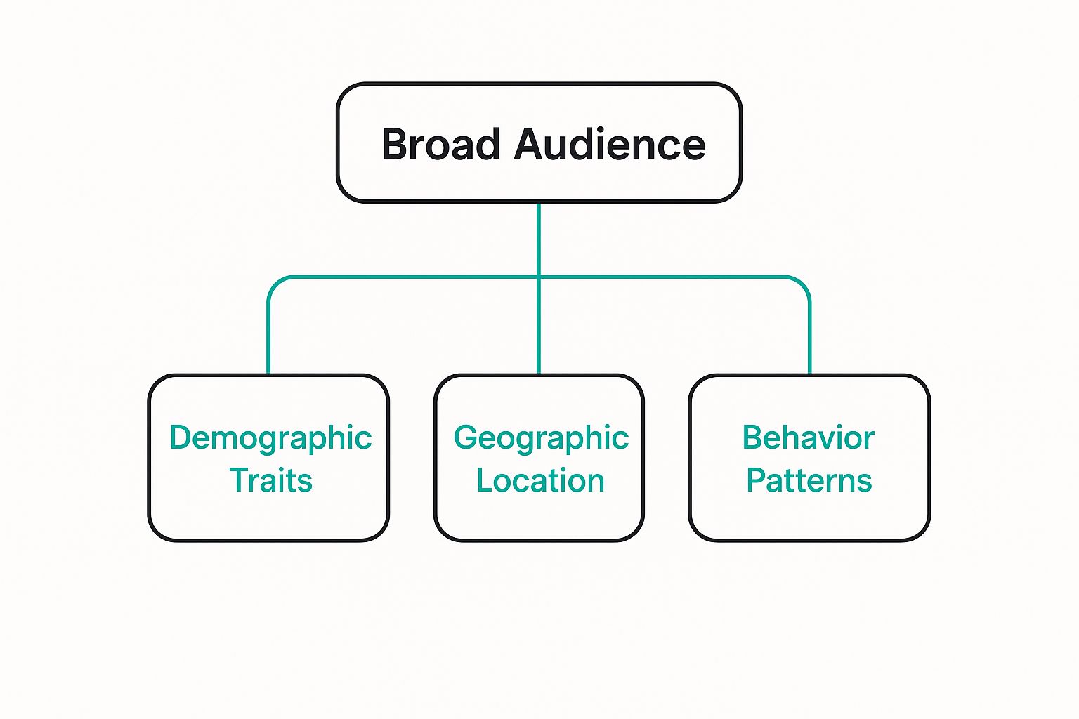 Infographic about what is audience segmentation