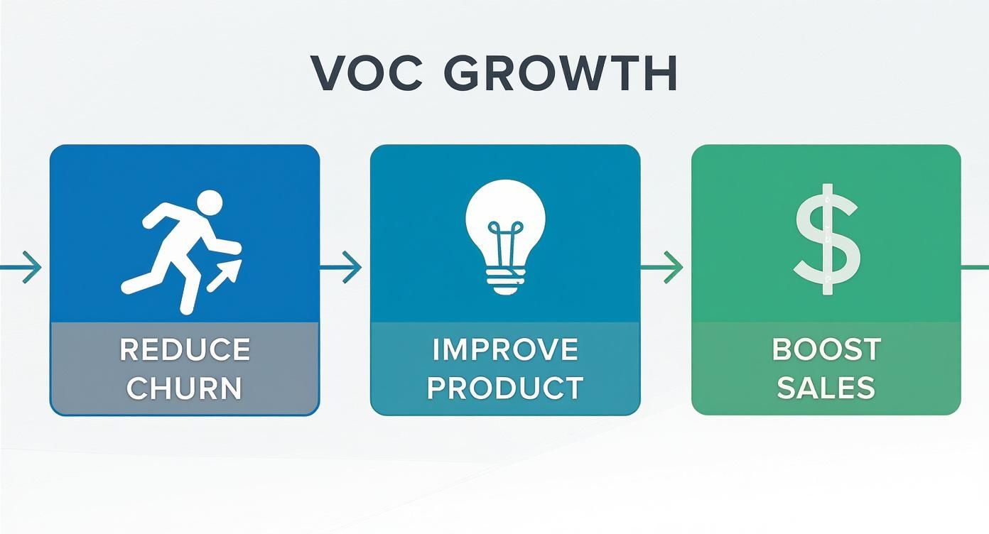 Infographic about voice of customer analysis