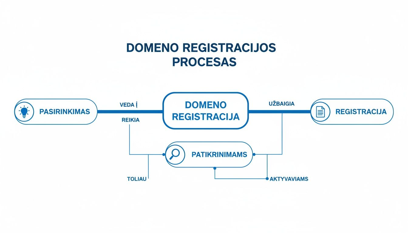 Schema, iliustruojanti domeno registracijos procesą su pagrindiniais etapais, tokiais kaip pasirinkimas ir tikrinimas.