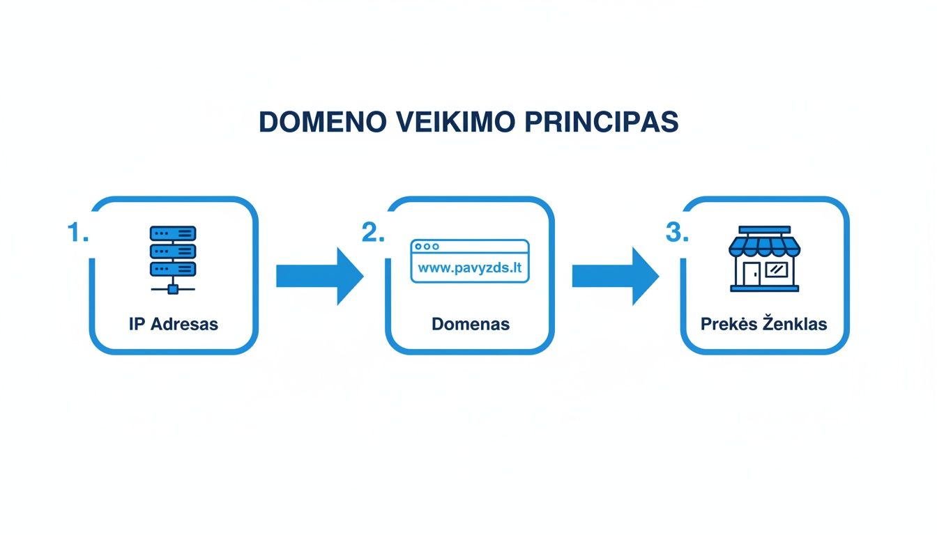 Diagrama, iliustruojanti domeno veikimo principą: nuo IP adreso per domeną iki prekės ženklo.
