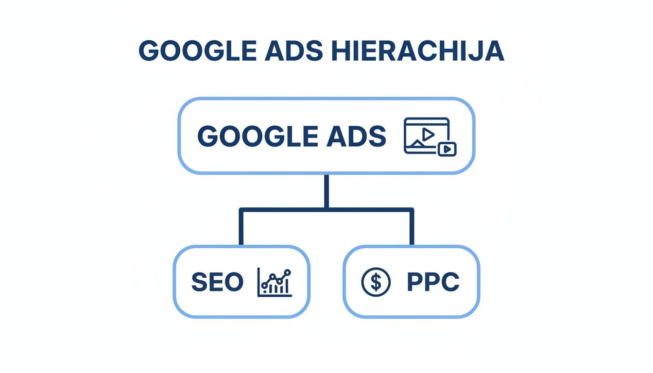 Infografikas, vaizduojantis Google Ads hierarchiją, įskaitant SEO ir PPC strategijas.
