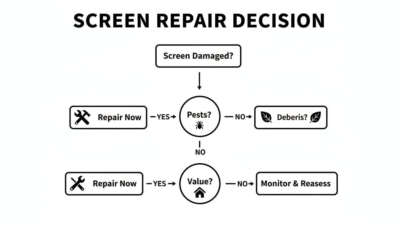 Flowchart detailing the decision process for screen repair, addressing damage, pests, debris, and screen value.