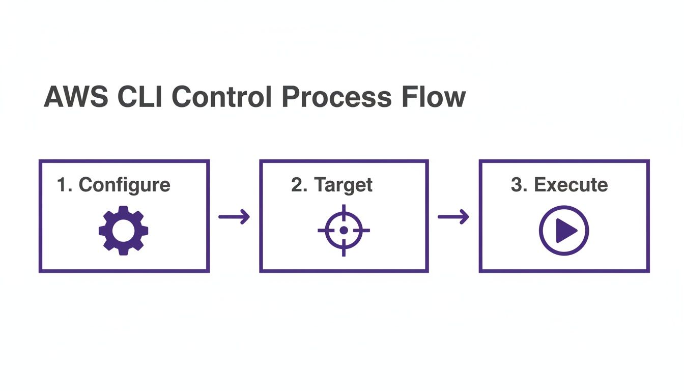 AWS CLI control process flowchart illustrating configure, target, and execute steps with icons.