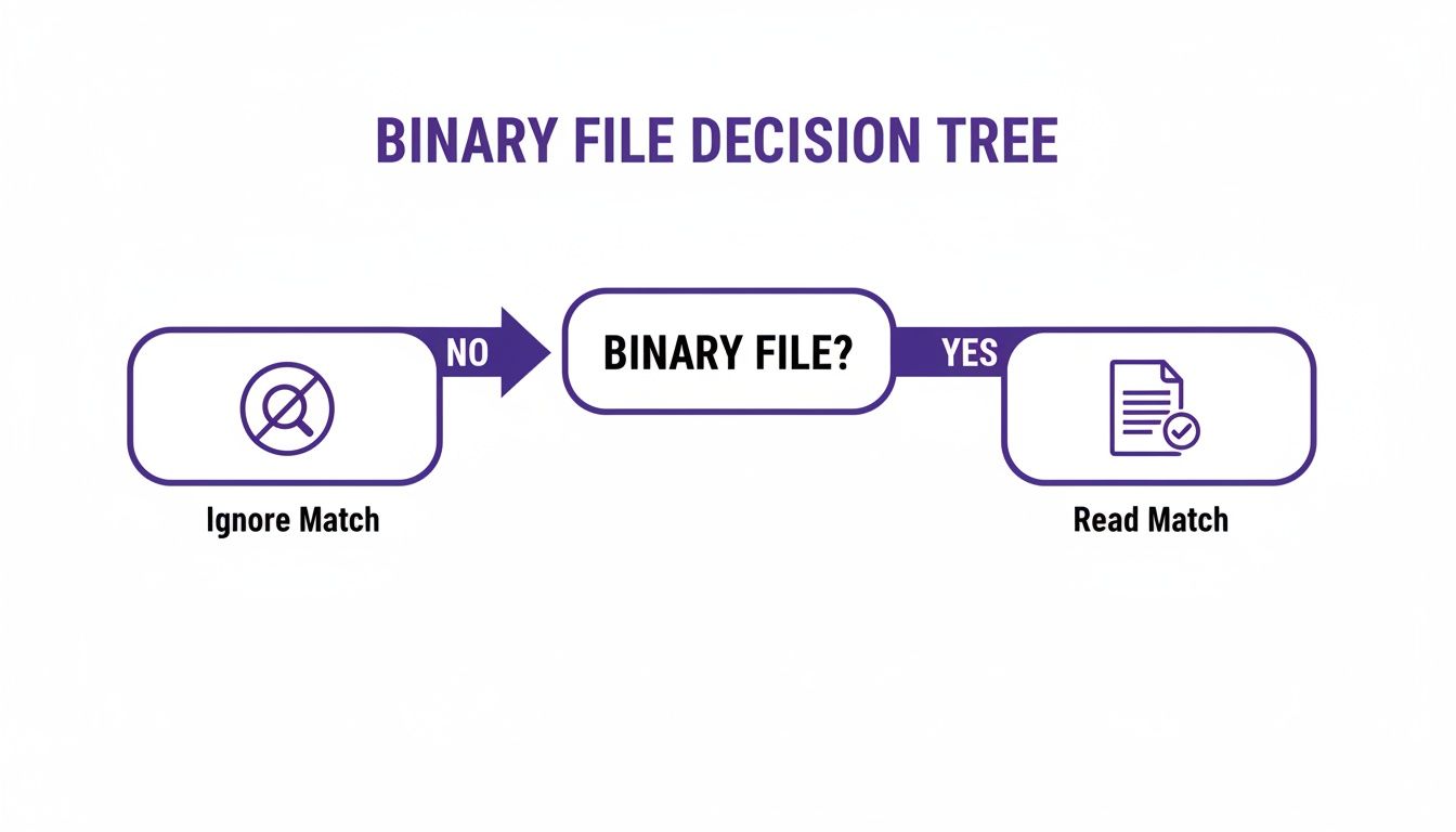 Flowchart showing a binary file decision tree: 'NO' leads to 'Ignore Match', 'YES' leads to 'Read Match'.