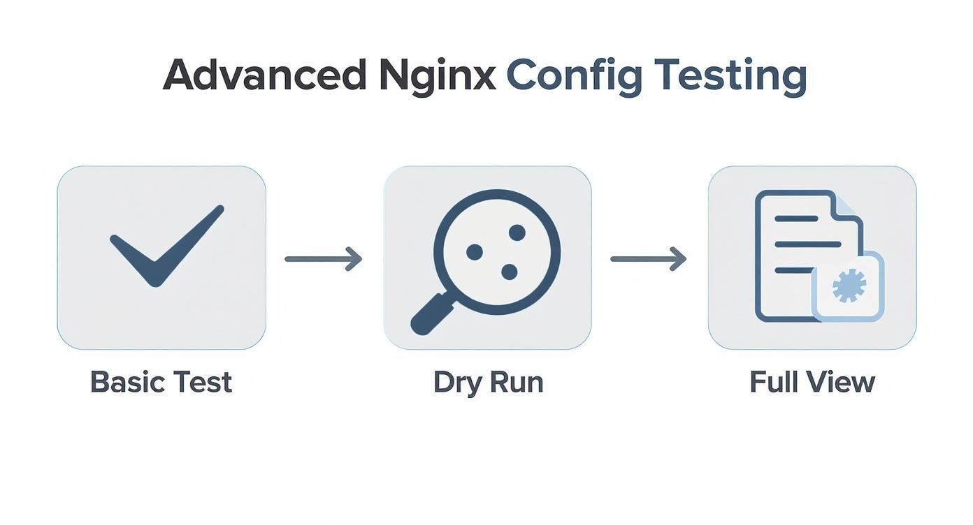 Nginx configuration testing workflow diagram showing three stages: basic test, dry run, and full view