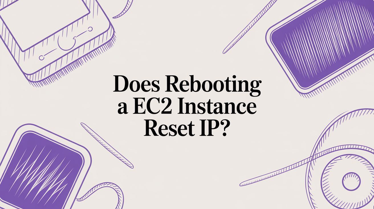 Does Rebooting an EC2 Instance Reset Its IP Address? A Definitive Guide