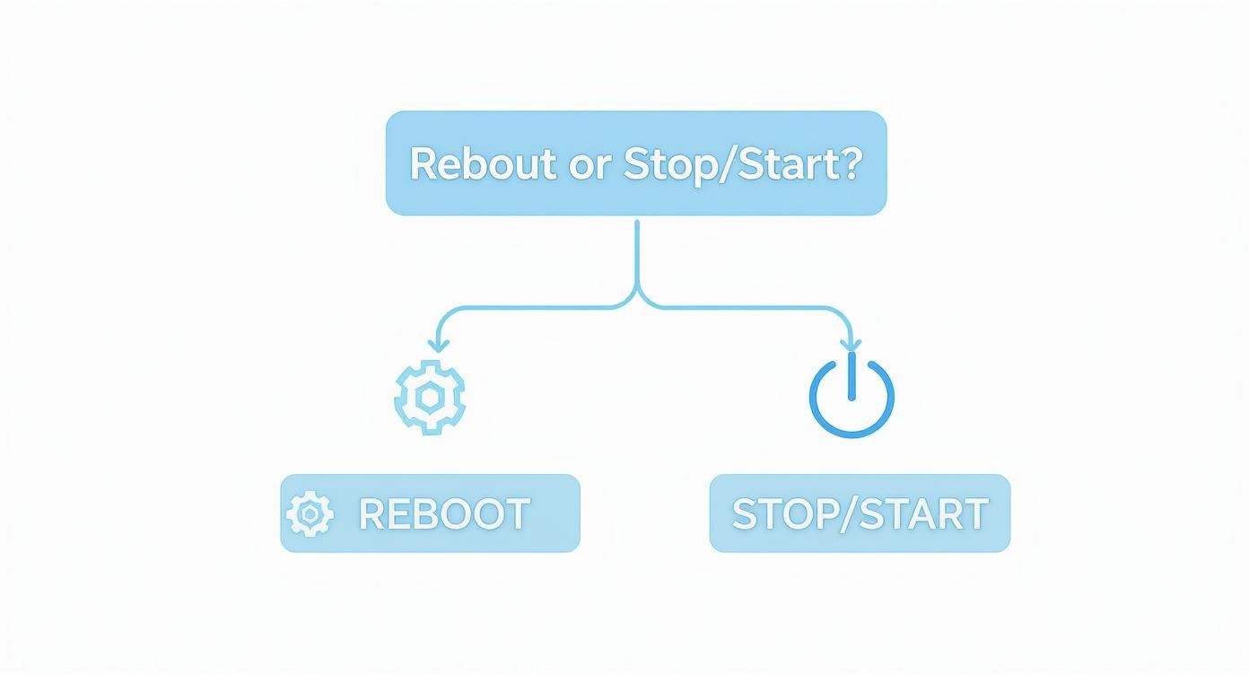 A flowchart presenting a choice between 'Reboot or Stop/Start?'. Options include 'REBOOT' with a gear icon and 'STOP/START' with a power icon.