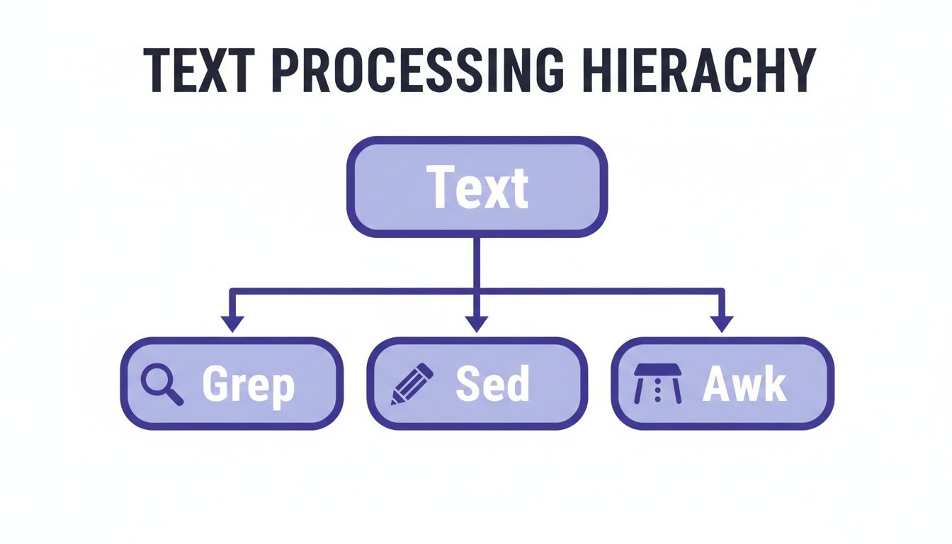 A diagram illustrating the text processing hierarchy with 'Text' at the top, followed by 'Grep', 'Sed', and 'Awk' tools.