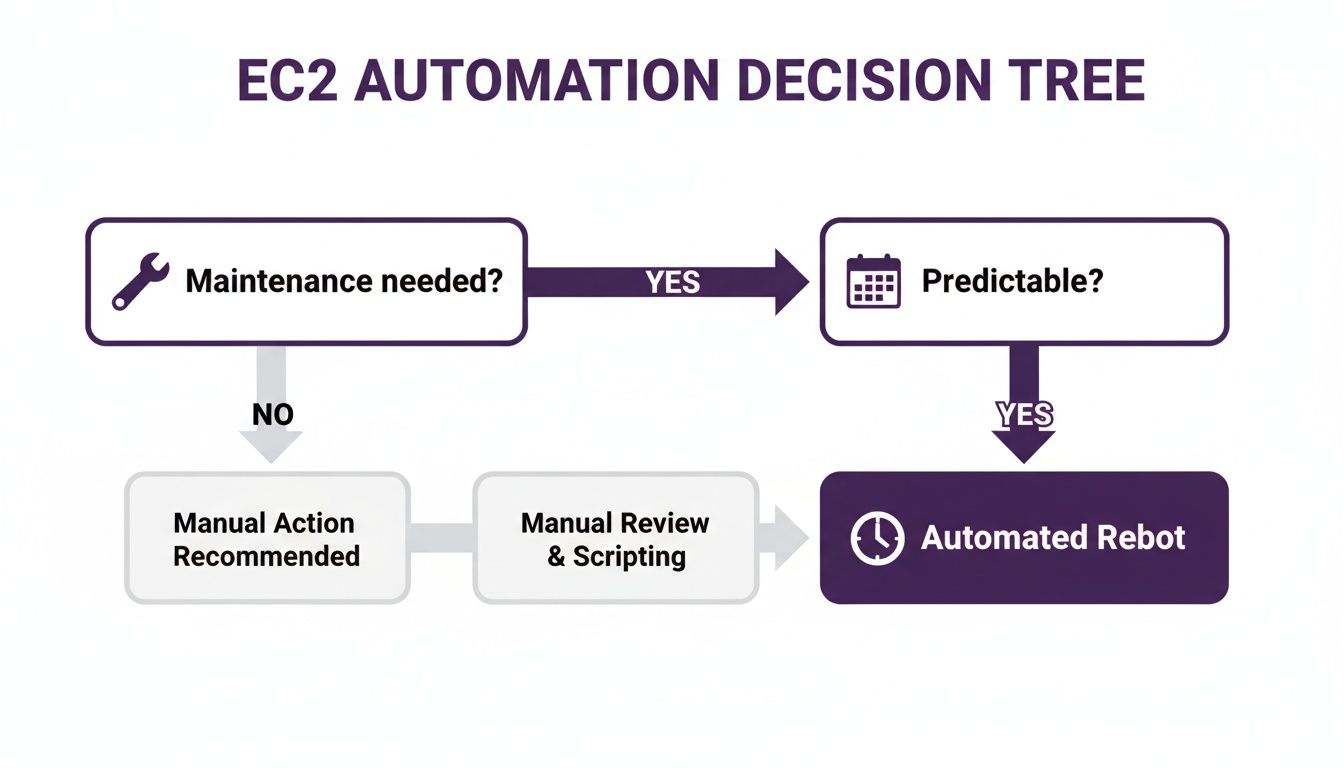 An EC2 automation decision tree flowchart illustrating paths for maintenance, predictability, and manual or automated reboots.