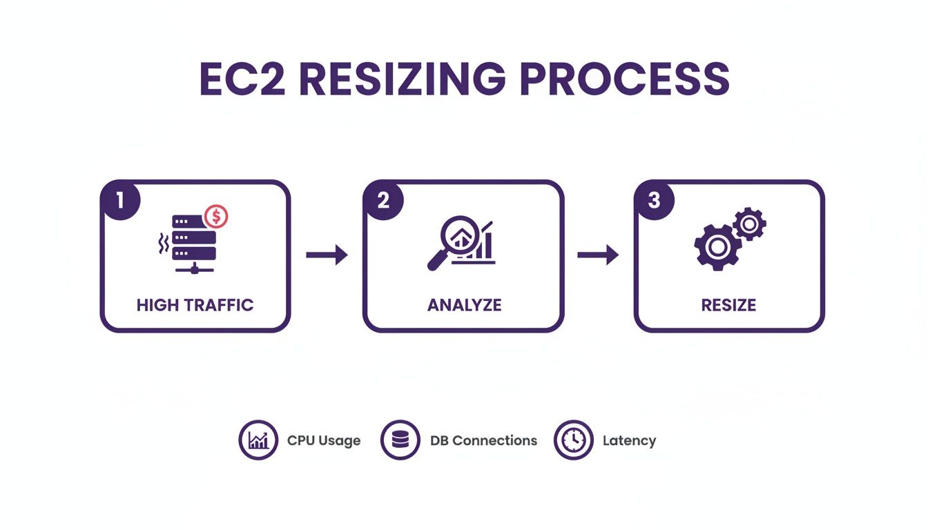 EC2 resizing process diagram: high traffic leads to analysis of CPU, DB connections, latency, then resizing.