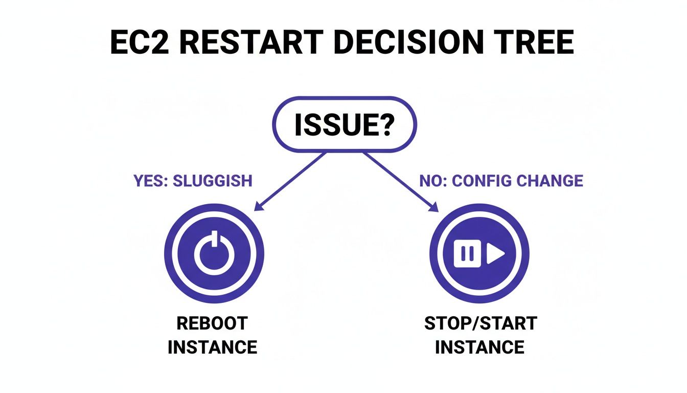 An infographic showing a server icon with different states: 'Running', 'Rebooting', 'Stopping', and 'Starting', illustrating the EC2 instance lifecycle.