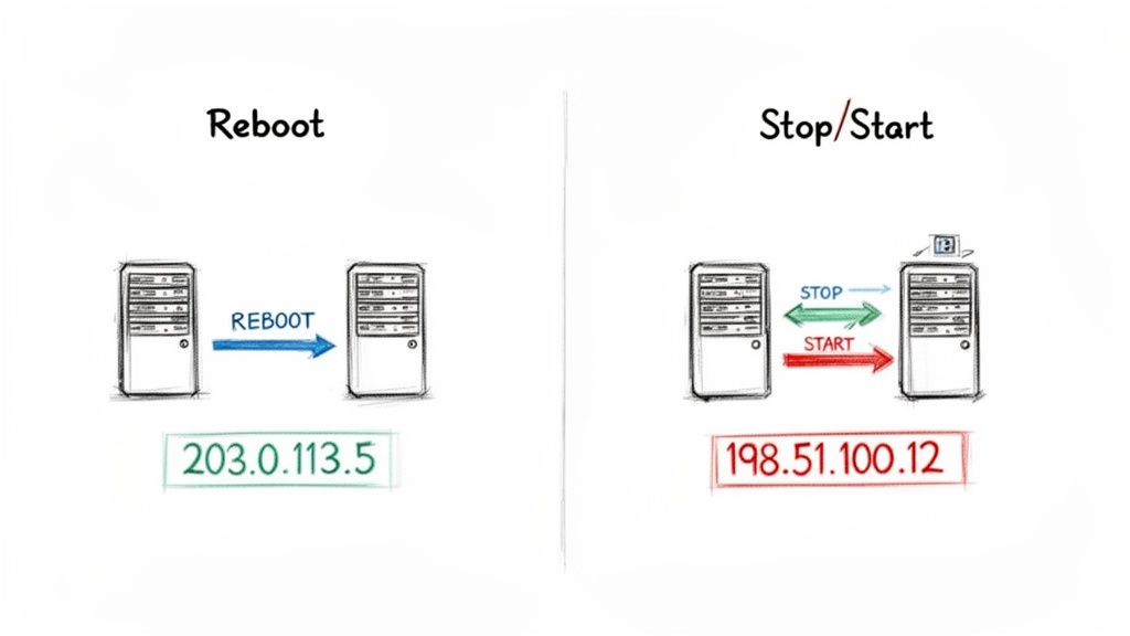 Diagram shows rebooting a server retains IP, while stop/start assigns a new IP.