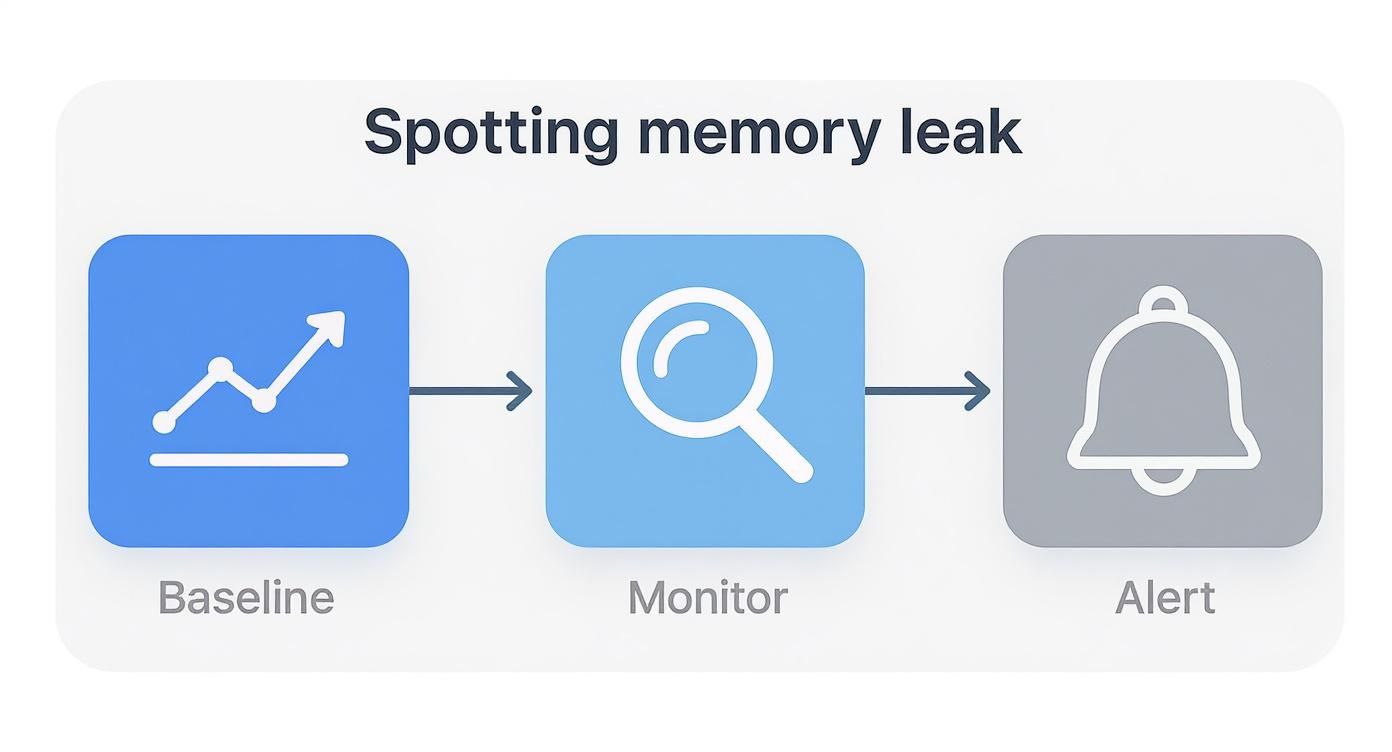 Infographic about how to find a memory leak