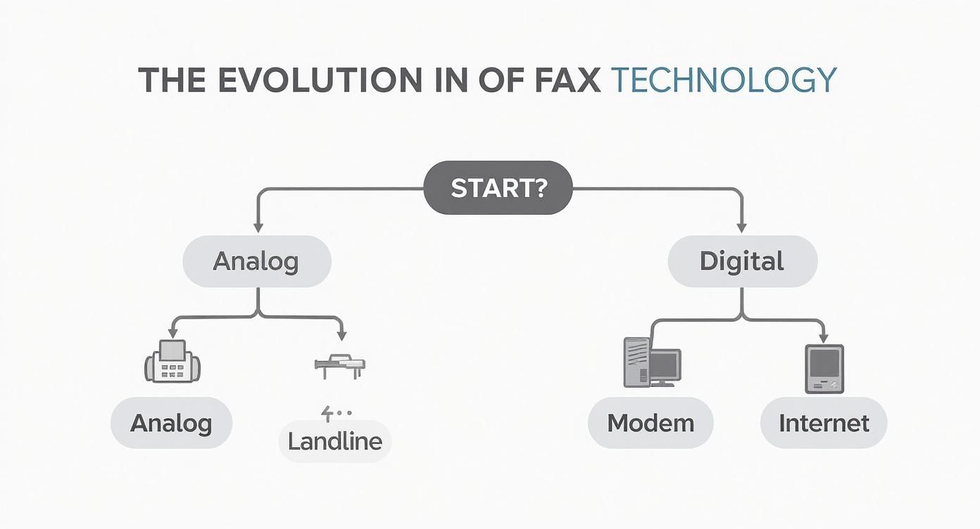 Infographic about can you fax from a computer