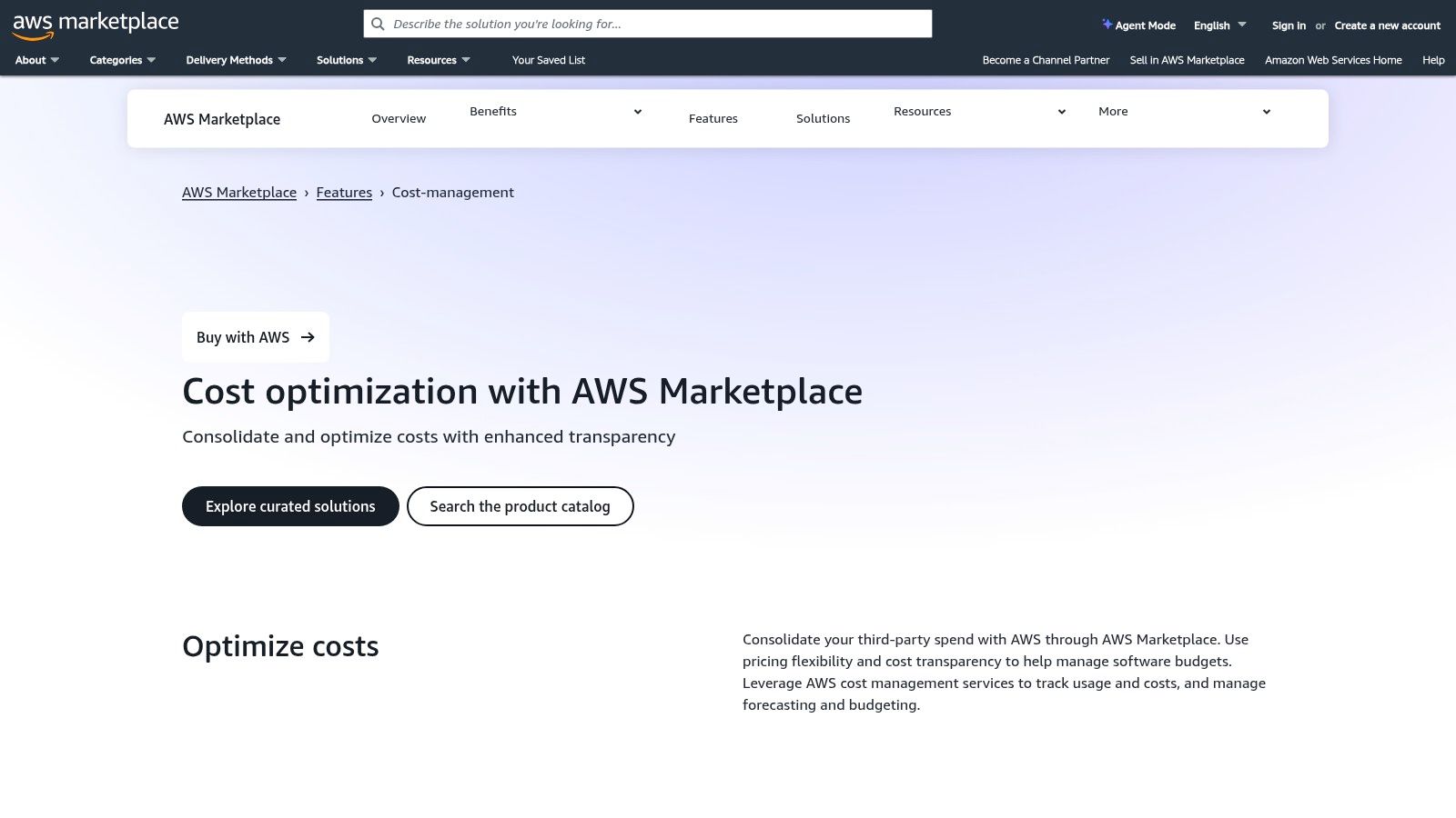 AWS Marketplace (Cost Management/FinOps solutions)