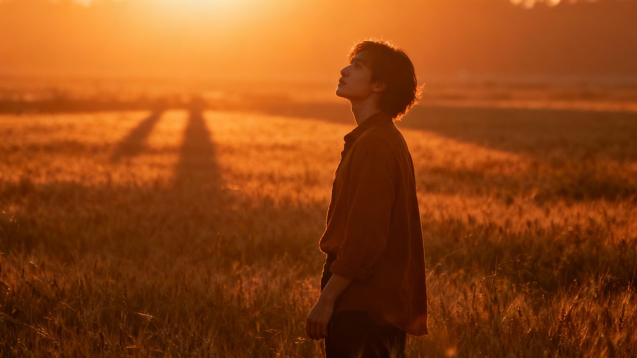 Young man in a brown shirt looks up, bathed in golden sunset light in a wheat field.